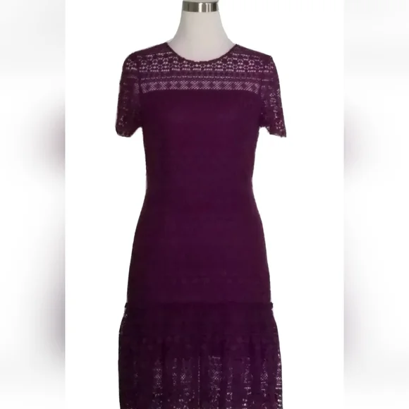 tahari lace fit and flare dress Lace Flutter Sleeve Dress – Elie Tahari main image 1